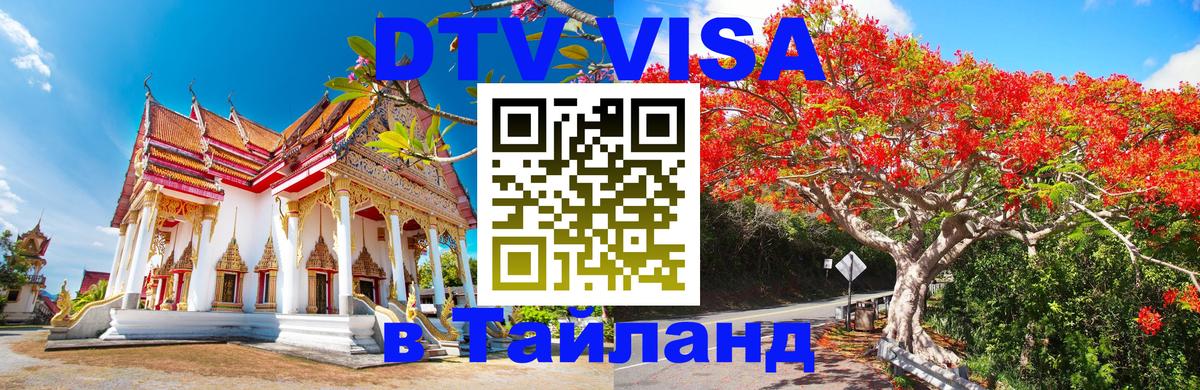 Оформление DTV визы под ключ: стоимость и тарифы, только загранпаспорт - 04.10.2025 